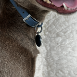 Pet GPS Tracker