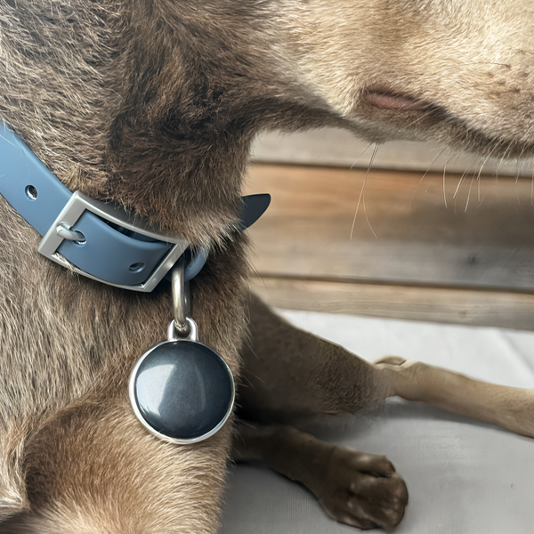 Pet GPS Tracker