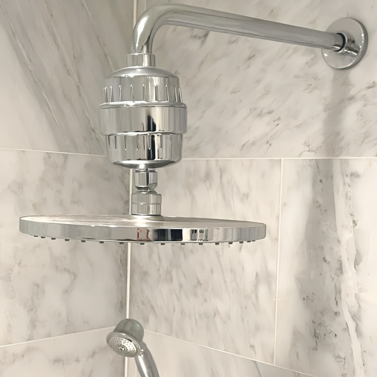 Shower Head Filter